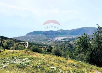 Vista delle montagne - Terreno agricolo Località Coppa Rotonda Stinco, Mattinata - foto 5