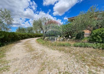 Giardino - Villa Contrada Bastìa - F878+7J3, Lucera - foto 6