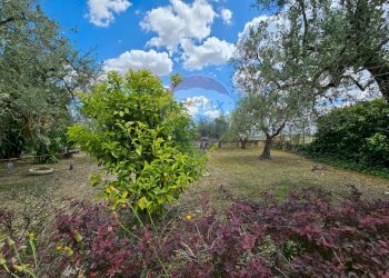 Giardino - Villa Contrada Bastìa - F878+7J3, Lucera - foto 7