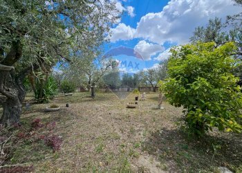 Giardino - Villa Contrada Bastìa - F878+7J3, Lucera - foto 8
