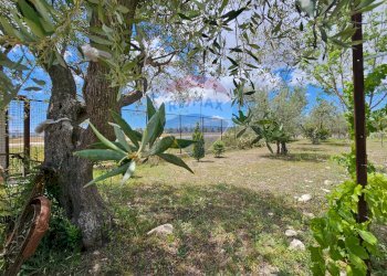 Giardino - Villa Contrada Bastìa - F878+7J3, Lucera - foto 9