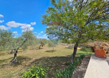 Giardino - Villa Contrada Bastìa - F878+7J3, Lucera - foto 43
