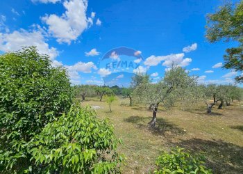 Giardino - Villa Contrada Bastìa - F878+7J3, Lucera - foto 45