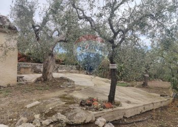 Giardino - Magazzino Contrada Santa Lucia - MW6R+Q2F, Monte Sant'Angelo - foto 4