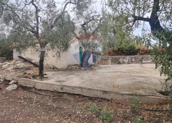 Giardino - Magazzino Contrada Santa Lucia - MW6R+Q2F, Monte Sant'Angelo - foto 7