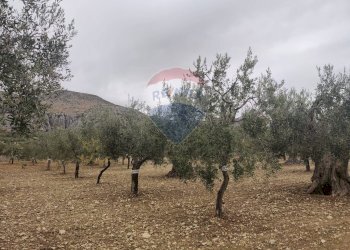 Vista delle montagne - Magazzino Contrada Santa Lucia - MW6R+Q2F, Monte Sant'Angelo - foto 12