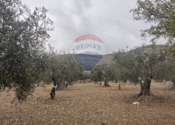 Vista delle montagne - Magazzino Contrada Santa Lucia - MW6R+Q2F, Monte Sant'Angelo - foto 14