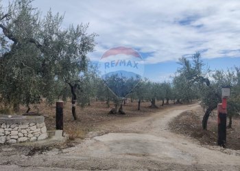 Giardino - Magazzino Contrada Santa Lucia - MW6R+Q2F, Monte Sant'Angelo - foto 23