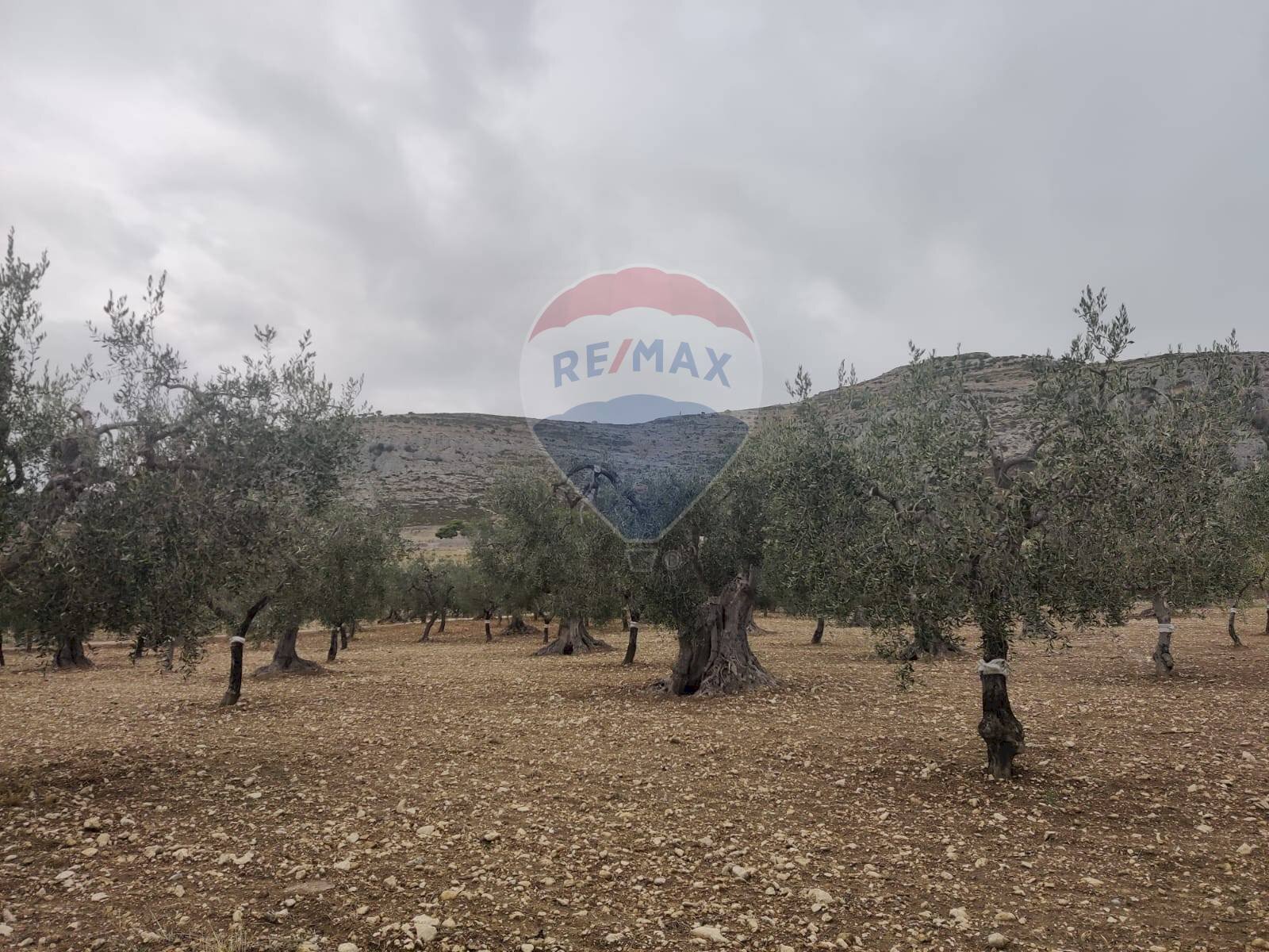 Vista delle montagne - Terreno agricolo Contrada Santa Lucia - MW6R+Q2F, Monte Sant'Angelo - foto 3