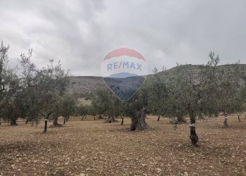 Vista delle montagne - Terreno agricolo Contrada Santa Lucia - MW6R+Q2F, Monte Sant'Angelo - foto 3
