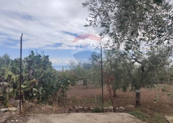 Giardino - Terreno agricolo Contrada Santa Lucia - MW6R+Q2F, Monte Sant'Angelo - foto 6