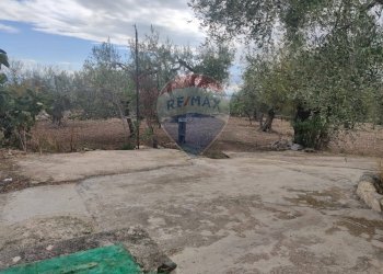 Giardino - Terreno agricolo Contrada Santa Lucia - MW6R+Q2F, Monte Sant'Angelo - foto 7