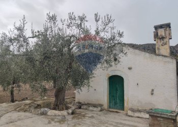 Casa all\'aperto - Terreno agricolo Contrada Santa Lucia - MW6R+Q2F, Monte Sant'Angelo - foto 10