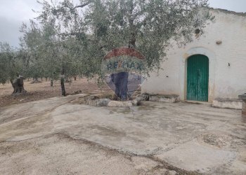 Casa all\'aperto - Terreno agricolo Contrada Santa Lucia - MW6R+Q2F, Monte Sant'Angelo - foto 12