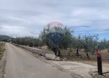 Vista dell\'acqua - Terreno agricolo Contrada Santa Lucia - MW6R+Q2F, Monte Sant'Angelo - foto 22
