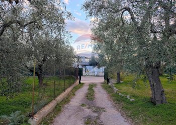 Giardino - Trilocale Contrada Macchione - P369+979, Mattinata - foto 9