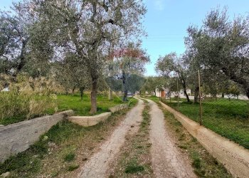 Giardino - Trilocale Contrada Macchione - P369+979, Mattinata - foto 11