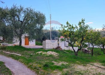 Giardino - Trilocale Contrada Macchione - P369+979, Mattinata - foto 14