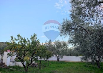 Giardino - Trilocale Contrada Macchione - P369+979, Mattinata - foto 15