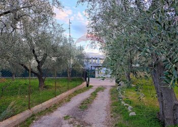 Giardino - Trilocale Contrada Macchione - P369+979, Mattinata - foto 16