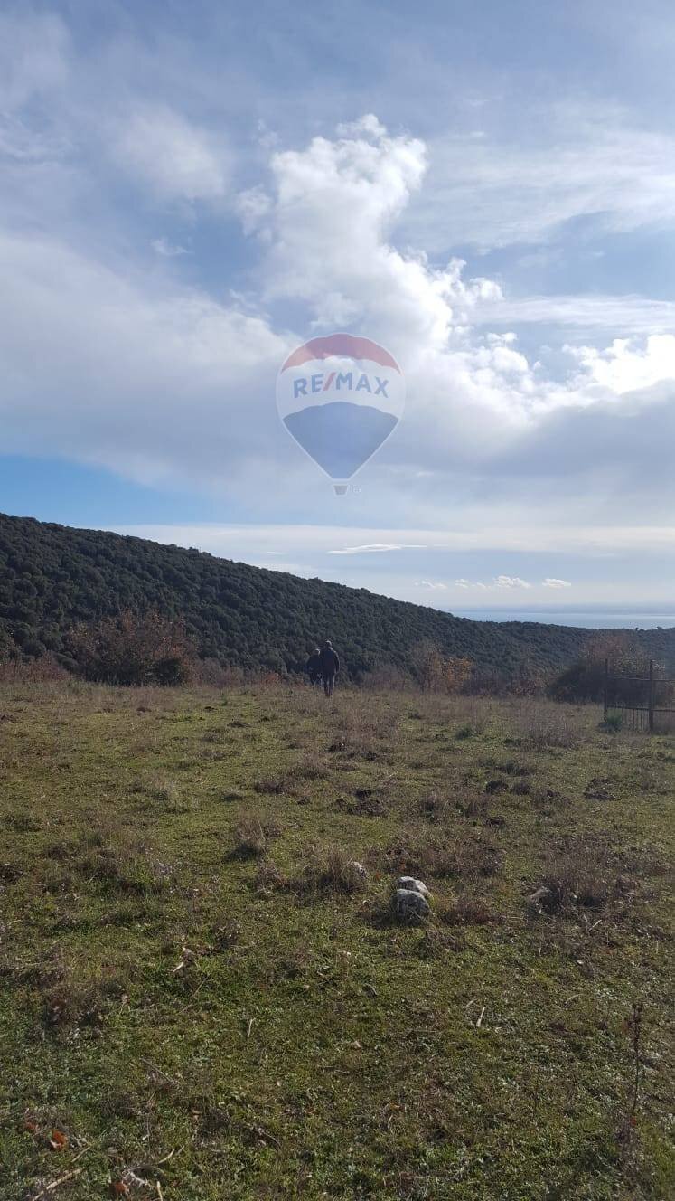 Vista delle montagne - Terreno agricolo Contrada Tomaiuolo
 
snc, Manfredonia - foto 3