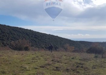 Vista delle montagne - Terreno agricolo Contrada Tomaiuolo
 
snc, Manfredonia - foto 3