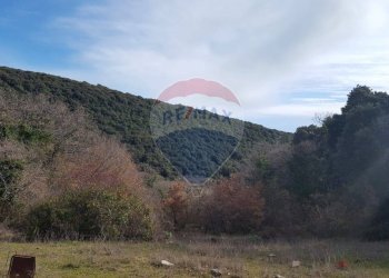 Vista delle montagne - Terreno agricolo Contrada Tomaiuolo
 
snc, Manfredonia - foto 8