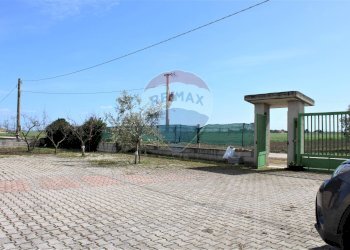 Casa all\'aperto - Rustico Contrada Beccarini - SP 60 - GR3J+68F, Manfredonia - foto 17