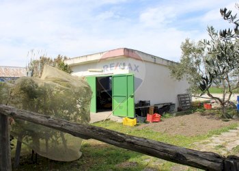 Casa all\'aperto - Rustico Contrada Beccarini - SP 60 - GR3J+68F, Manfredonia - foto 26