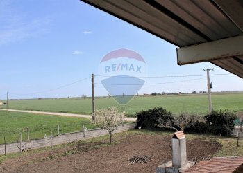 Giardino - Rustico Contrada Beccarini - SP 60 - GR3J+68F, Manfredonia - foto 33