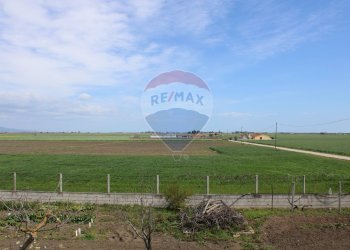 Giardino - Rustico Contrada Beccarini - SP 60 - GR3J+68F, Manfredonia - foto 34