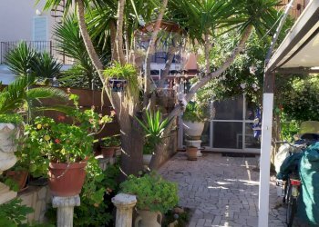 Giardino - Casa indipendente Sciale degli Zingari
 
B/21, Manfredonia - foto 4