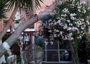 Terrazza - Casa indipendente Sciale degli Zingari
 
B/21, Manfredonia - foto 18