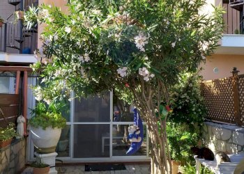 Edificio all\'aperto - Casa indipendente Sciale degli Zingari
 
B/21, Manfredonia - foto 20