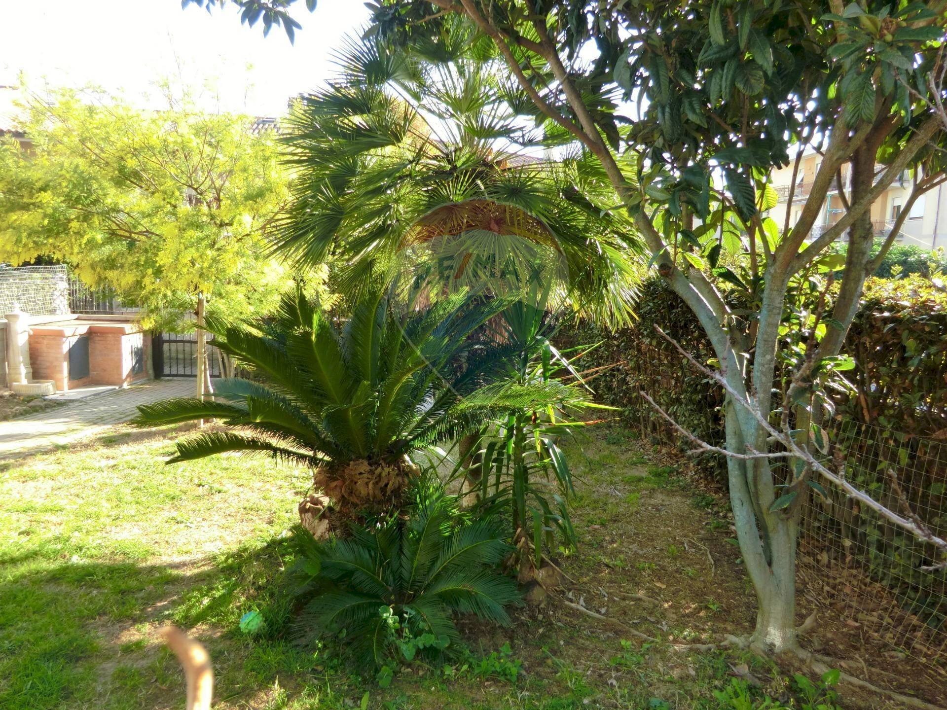 Giardino - Terraced Villa Scarlino - photo 1