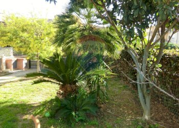 Giardino - Terraced Villa Scarlino - photo 1