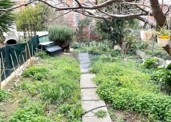 Giardino - Quadrilocale Piombino - foto 25