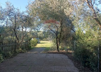 Giardino - Bilocale Piombino - foto 11