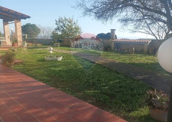 Giardino - Casa semi indipendente Piombino - foto 2