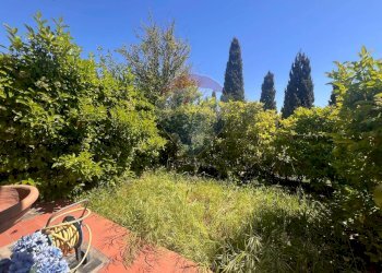 Giardino - Casa indipendente Rosignano Marittimo - foto 32