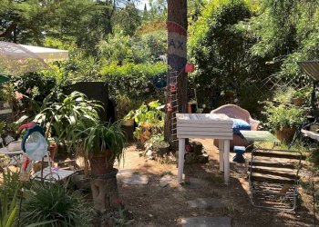 Giardino - Casa semi indipendente Rosignano Marittimo - foto 4