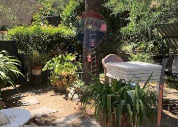 Giardino - Casa semi indipendente Rosignano Marittimo - foto 5