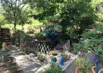 Giardino - Casa semi indipendente Rosignano Marittimo - foto 31