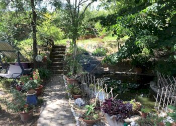 Giardino - Casa semi indipendente Rosignano Marittimo - foto 32