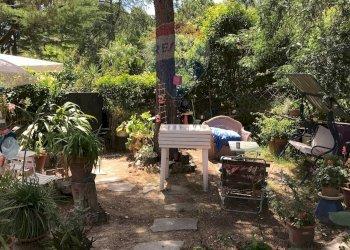 Giardino - Casa semi indipendente Rosignano Marittimo - foto 36