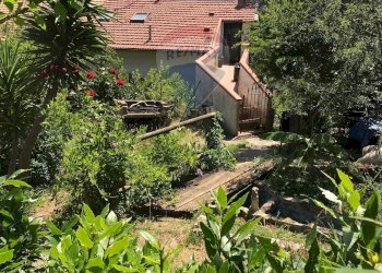 Giardino - Casa semi indipendente Rosignano Marittimo - foto 62