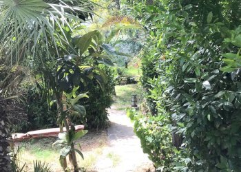 Giardino - Casa semi indipendente Rosignano Marittimo - foto 63