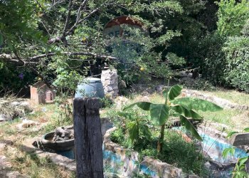 Giardino - Casa semi indipendente Rosignano Marittimo - foto 65