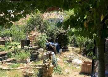 Giardino - Casa semi indipendente Rosignano Marittimo - foto 66