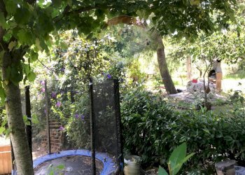 Giardino - Casa semi indipendente Rosignano Marittimo - foto 67